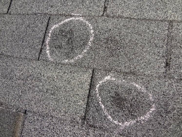 Hail dents on an asphalt shingle roof circled in chalk.