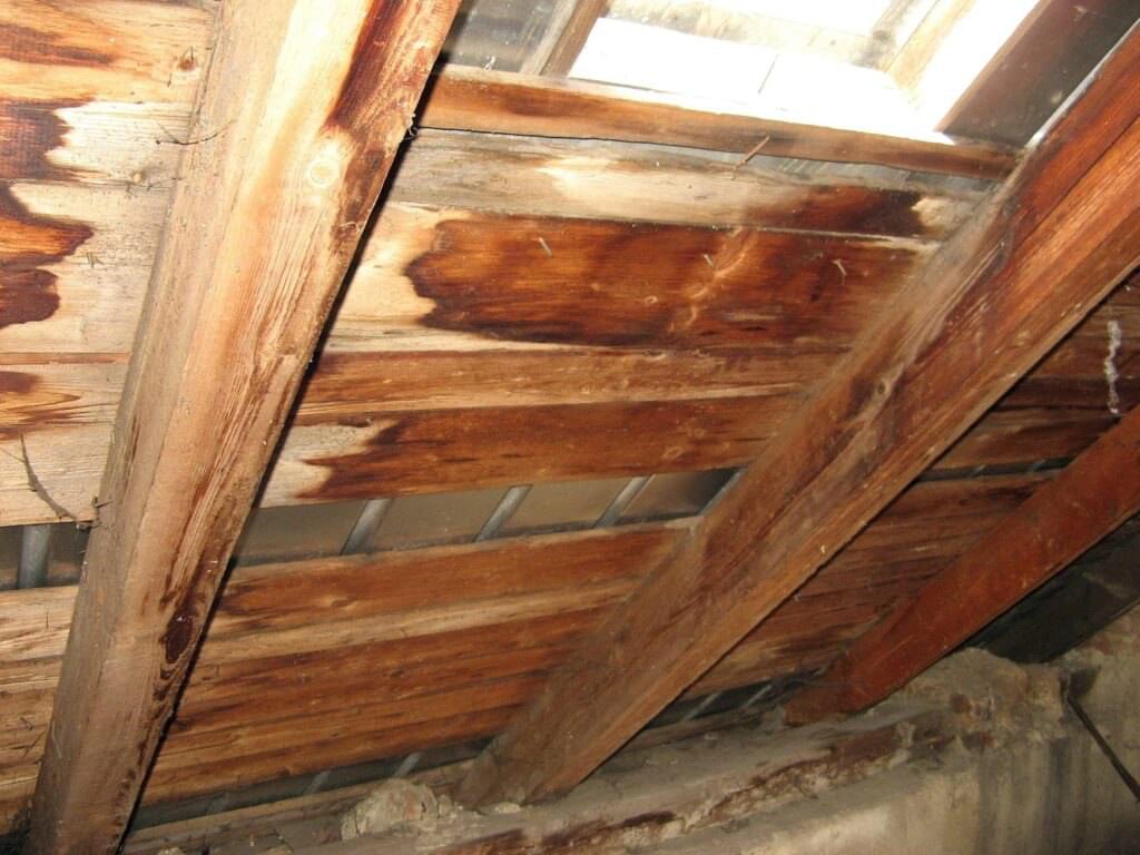 The cost of repairing a roof leak: interior damage