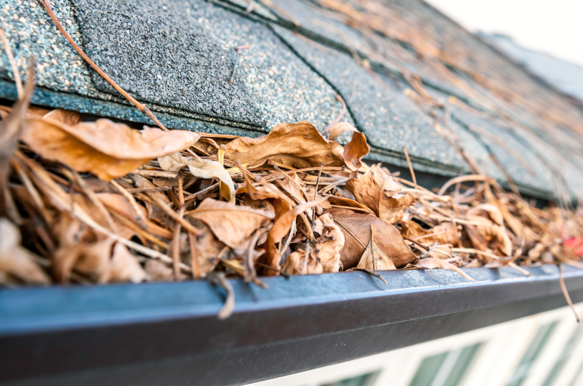 Fall leaves clogging a gutter system.