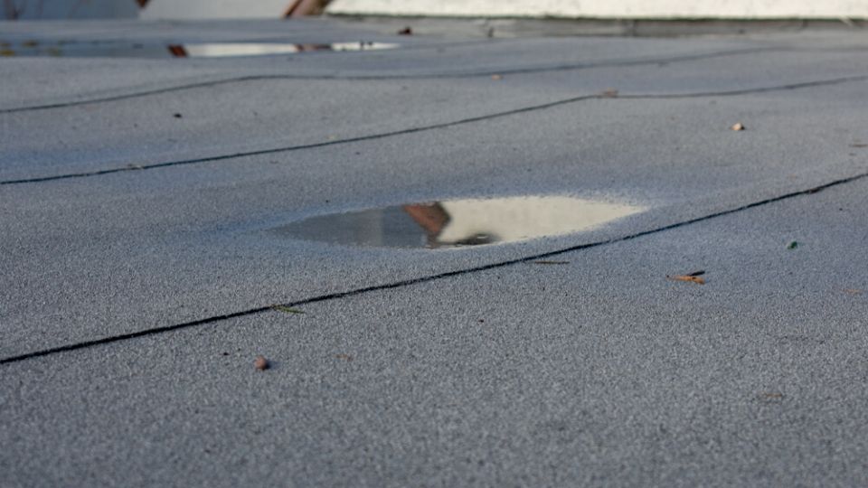 Ponding (stagnant) water on a flat roof.