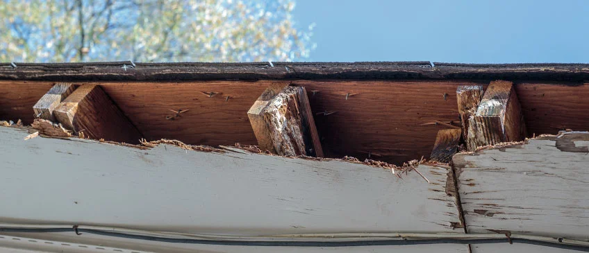 Rotted-out soffit. 