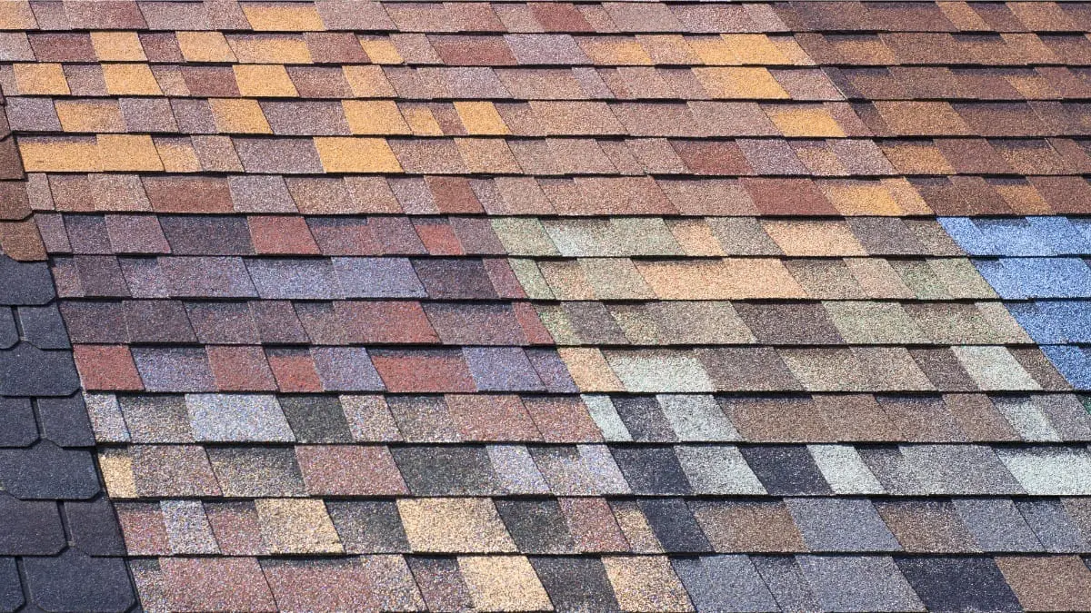 Insurance Denies Your Roof Claim: What Next? (3 Steps to Follow) - Rescue  My Roof