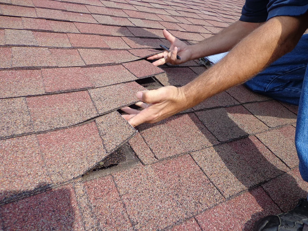 Roof inspector lifting asphalt shingles to look for damage. 