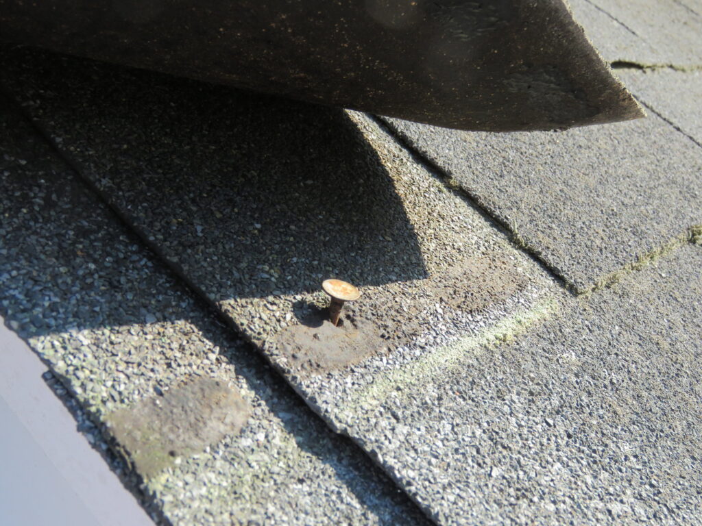 Head of a nail sticking out of a shingle will eventually lead to leaks. 
