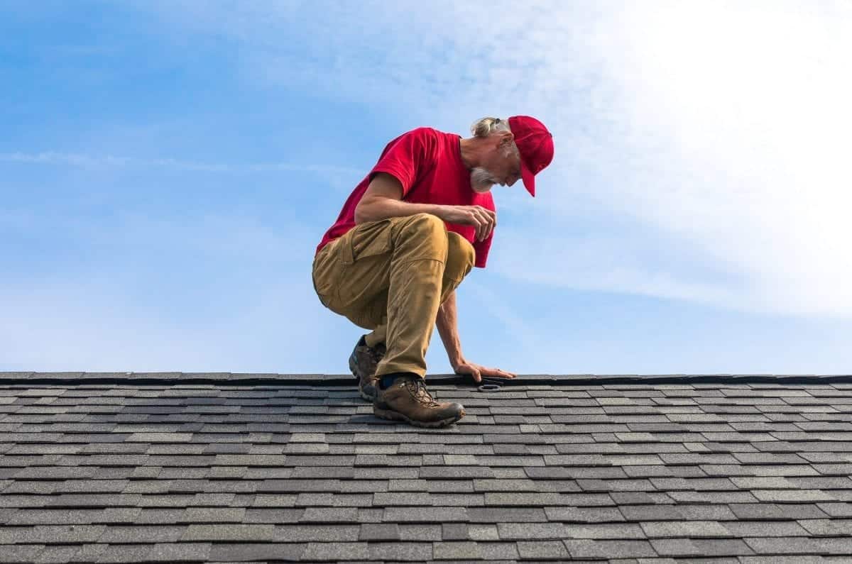 Professional on an asphalt roof inspecting the roof's ridge.