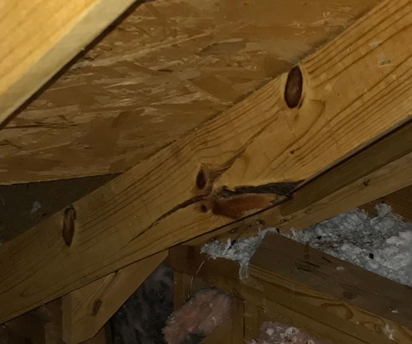 Cracked wooden rafters in an attic space.