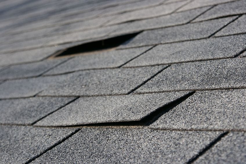 damaged and lifting asphalt shingles.