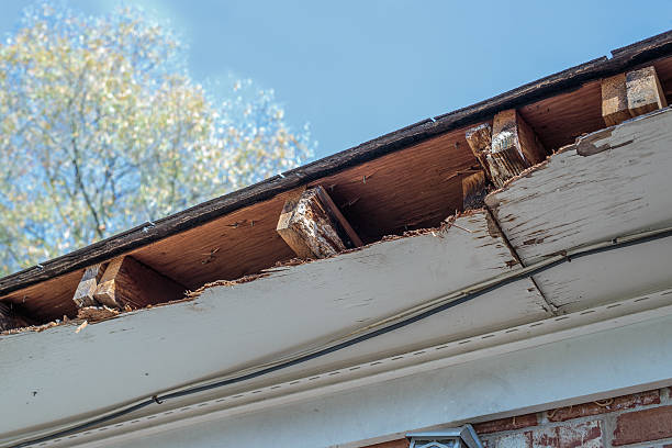 Broken wood soffit. 