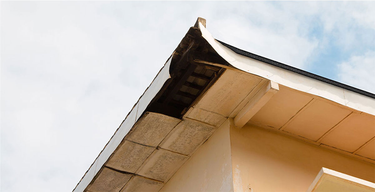 Close-up of damaged soffit and fascia. 